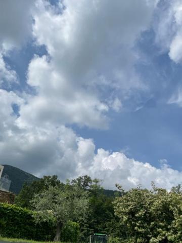 La Casa In Collina Apartment Caprino Veronese Bagian luar foto