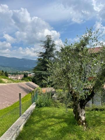 La Casa In Collina Apartment Caprino Veronese Bagian luar foto