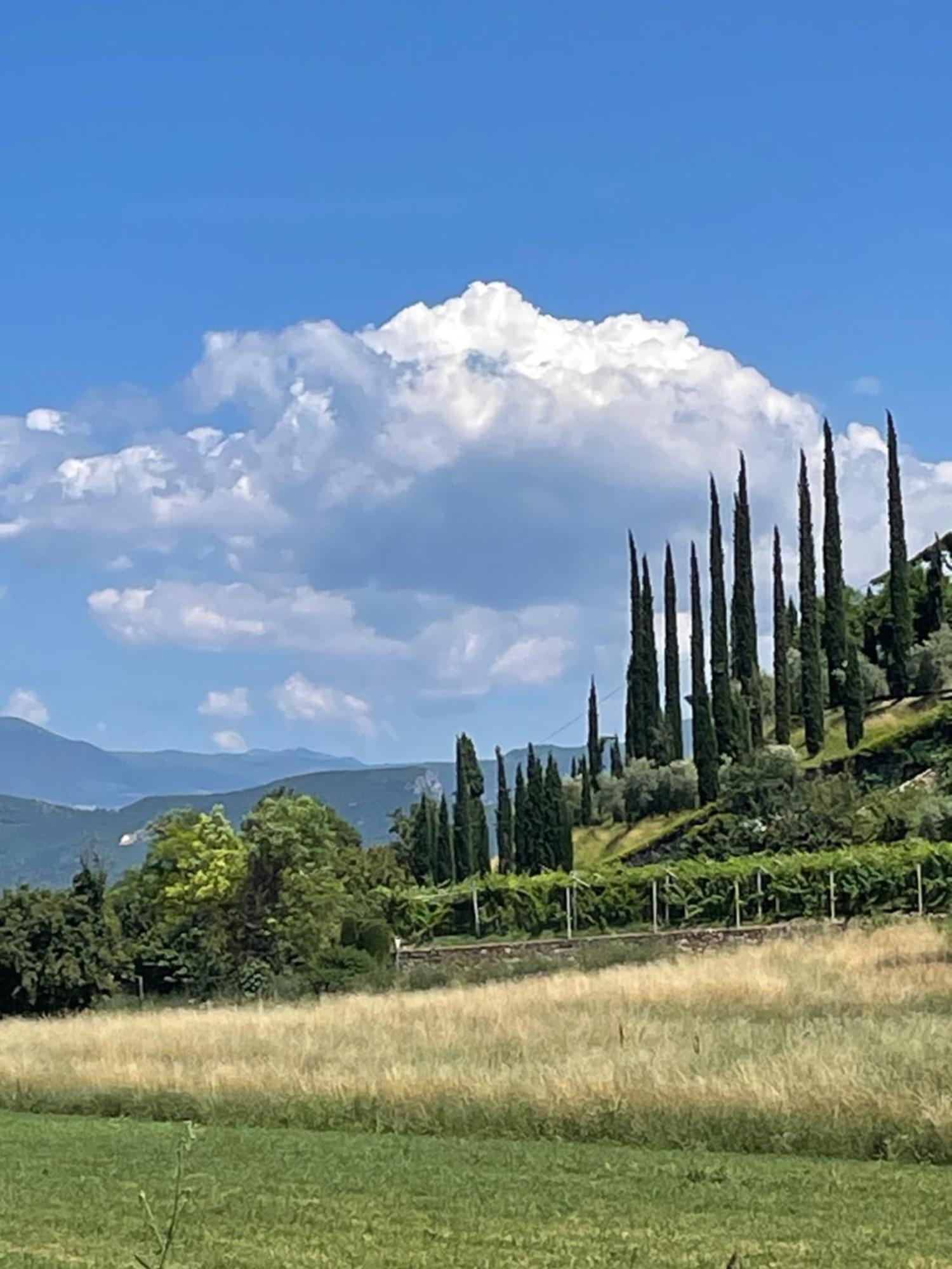 La Casa In Collina Apartment Caprino Veronese Bagian luar foto